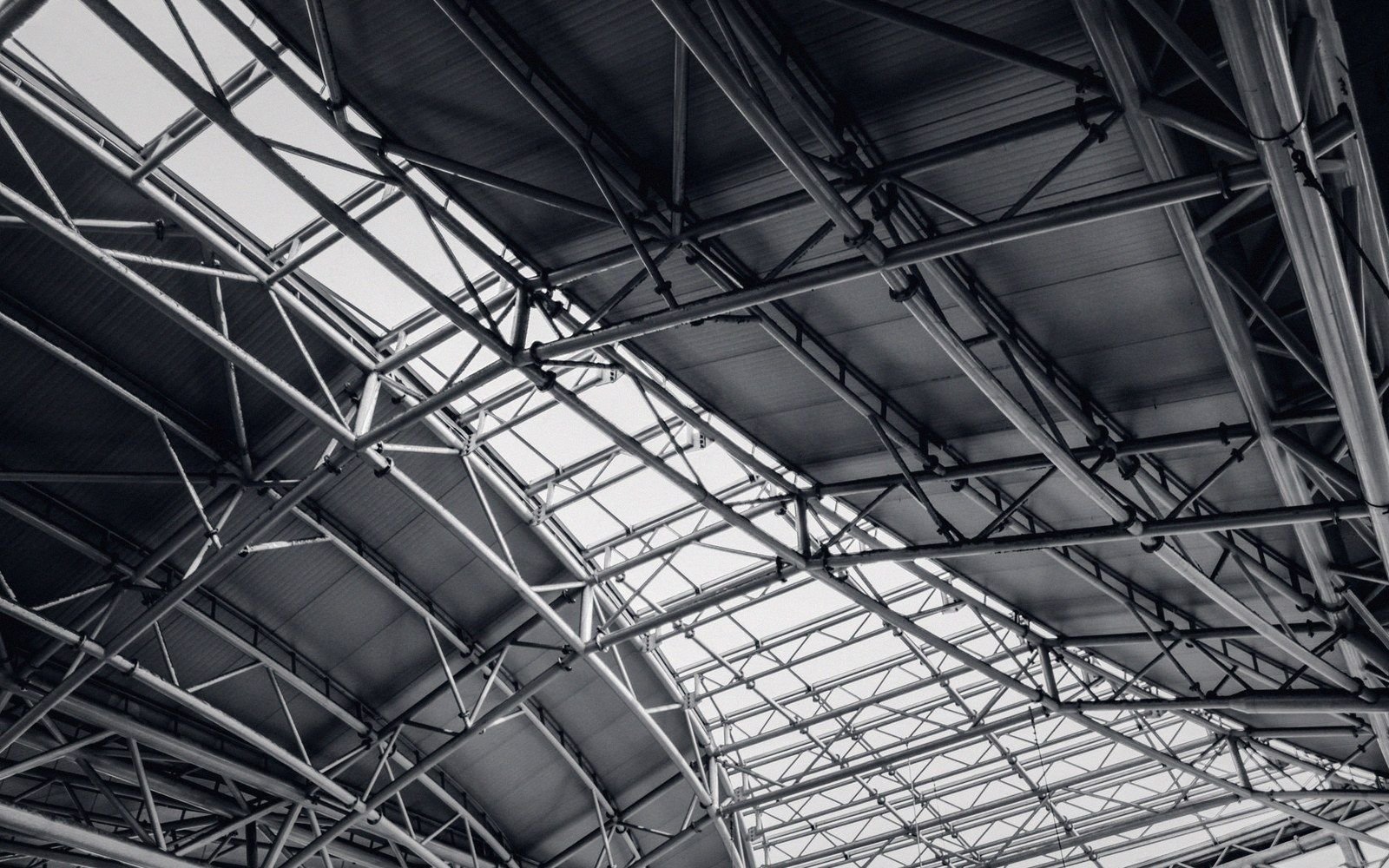 Steel roof trusses and glazed panels form a crisscrossing structural framework overhead
